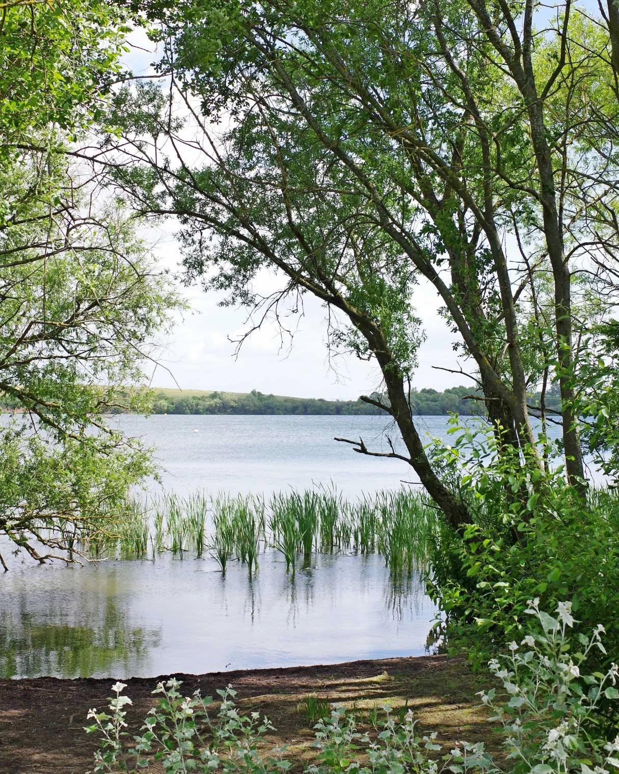 The Forest of Marston Vale